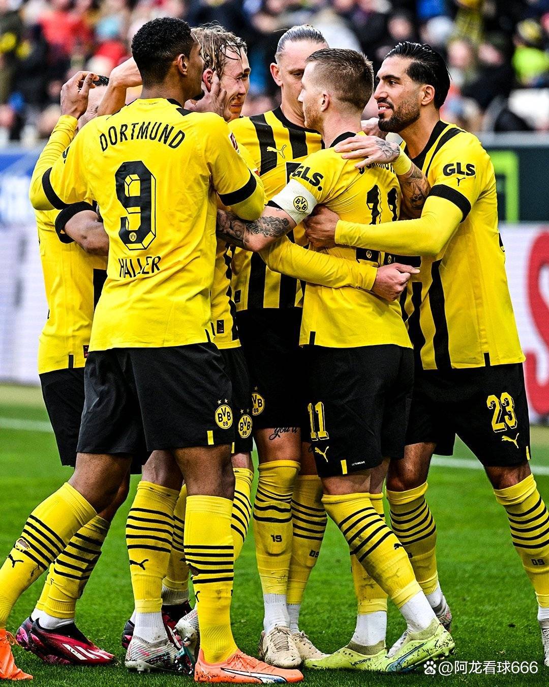 开云体育下载-多特蒙德新星脱颖而出，欧冠表现令人耳目一新的简单介绍